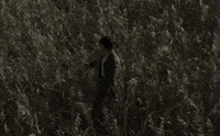 Searching