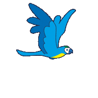 Macaw Sticker