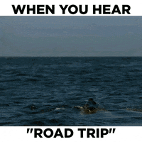GIF by Discovery