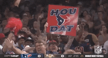 Houston Texans Football GIF by NFL