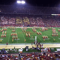 Iowa State Cyclones Lego GIF by Iowa State