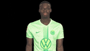 Like A Boss Deal With It GIF by VfL Wolfsburg