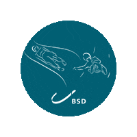Official_BSD logo olympics bsd wintersport Sticker