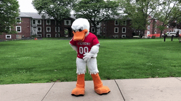 FollowStevens hello hey duck phone call GIF