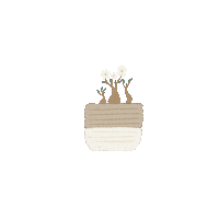 rachrisa flower plant plants grow Sticker