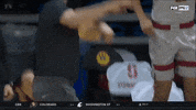 gostanford  GIF