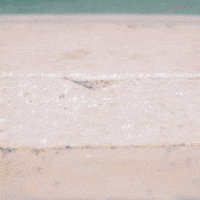 helmet batting cage GIF by gamecocksonline