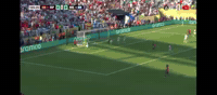 La Furia Argentina GIF