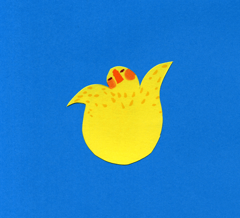 yellow bird GIF by Philippa Rice