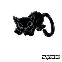 Black Cat Sticker by VeeFriends