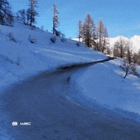 Motorsport Driving On Snow GIF by FIA World Rally Championship
