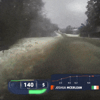 Ford Snow GIF by FIA World Rally Championship