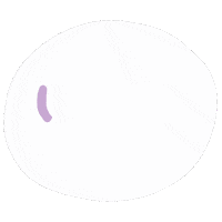 graphic_noodle purple lettering graphic bubble Sticker
