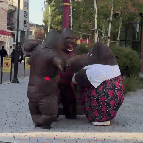 sigourulla love hug friend gorilla GIF