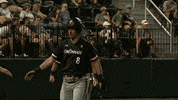 High Five Bearcats Baseball GIF by Cincinnati Bearcats