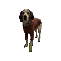 Dog Sticker by mingle mocktails