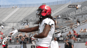 cincinnati bearcats dancing GIF by University of Cincinnati Athletics