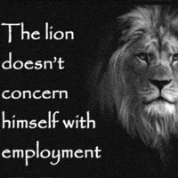 Black White No Job GIF