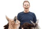 Bauer Sucht Frau Alpaca Sticker by Sven H. Photography
