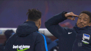 party fan GIF by Hertha BSC