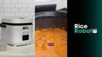 Red Curry In A Rice Cooker | Rice Robot