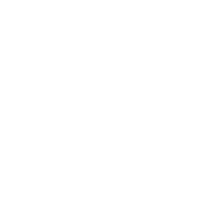 Palm Tree Island Sticker by Experience Co