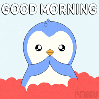 Good Morning GIF by Pudgy Penguins