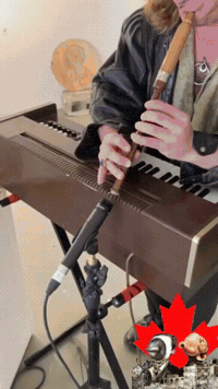 GIF by Alex Boya