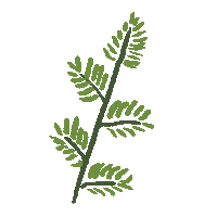 Flower Minimalist Sticker