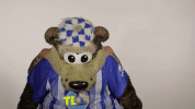 Hertha Berlin Sport GIF by Hertha BSC