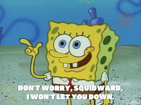 season 1 GIF by SpongeBob SquarePants