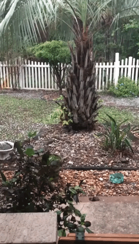 Spring Storm Brings Heavy Hail to Flagler County, Florida
