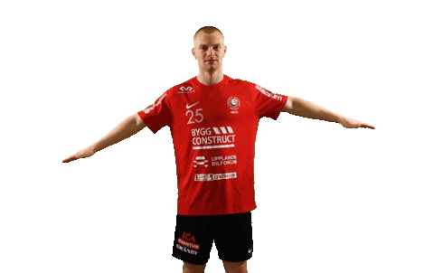 Fly Airplane Sticker by Storvreta IBK