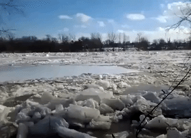 Ice Jam on the Maumee River Breaks Up