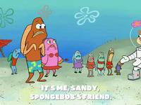 season 6 GIF by SpongeBob SquarePants