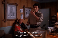 Season 2 Episode 21 GIF by Twin Peaks on Showtime