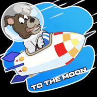 Dog Space GIF by Cashew Gets a Job