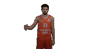Gameday Reddragons Sticker by bkbasketbol