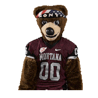 College Sports Montana Sticker by College Colors Day