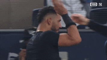 New York Yankees Hug GIF by MLB