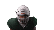 American Football Sticker by Schwäbisch Hall Unicorns
