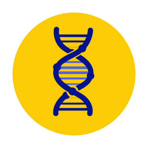 cajucreates giphyupload science dna molecule Sticker