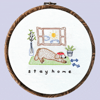 Dog Stay Home GIF