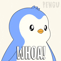 No Way Wow GIF by Pudgy Penguins
