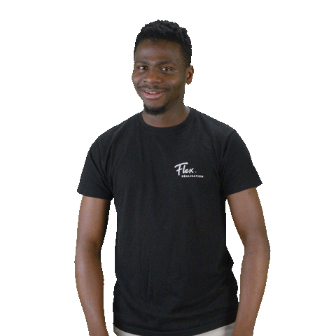 flex_realisation giphyupload flex godwin flex réalisation Sticker