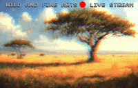 Inspiring Pop Art GIF by Xinanimodelacra