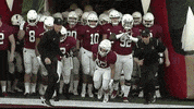LafayetteLeopards football lafayette leopards roll pards GIF