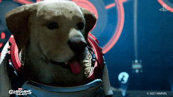 Guardians Of The Galaxy Dog GIF by PlayStation