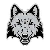 Wink Wolfpack Sticker by Madison College
