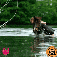 Summer Swimming GIF by SWR Kindernetz